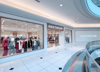 ann-taylor-somerset-1