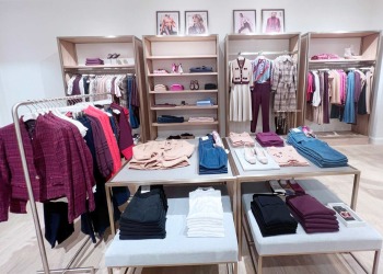 ann-taylor-somerset-14