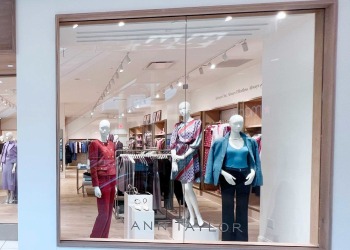 ann-taylor-somerset-2