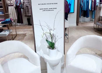 ann-taylor-somerset-24