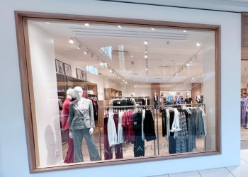 ann-taylor-somerset-3