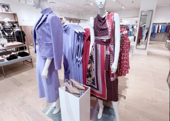 ann-taylor-somerset-5