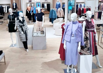 ann-taylor-somerset-6