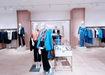 ann-taylor-somerset-8