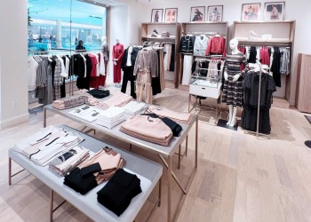 ann-taylor-somerset-9